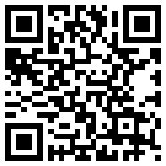 radminlan手机版修改版最新版