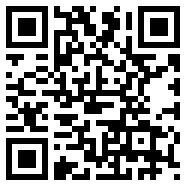 vfp6.0