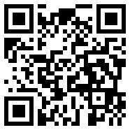 mediaplayer11全皮肤
