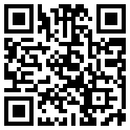 Divirtual汉化版快手版