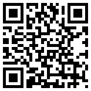 E站正版绿色Web1.0版