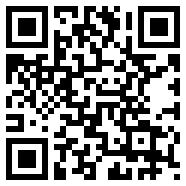 radmin3.2绿色版