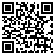 保时捷直装v6.0