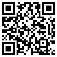 宝可梦白金ndsapp