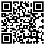 GG服务框架安装器Web3.0版