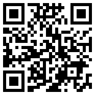 Divirtual汉化版紫色版