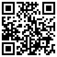 nokia6300