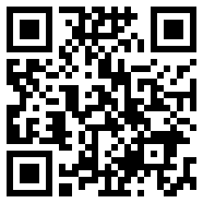 Divirtual汉化版安卓精简版
