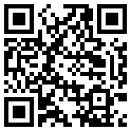 birzzle去广告安全版
