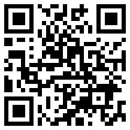 轻量版app