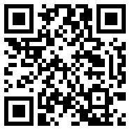 300大作战