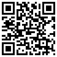 堕落忍者神安卓直装